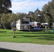 Pinjarra Caravan Park - Accommodation QLD