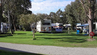 Pinjarra Caravan Park - Accommodation QLD 0