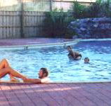 Shark Bay Caravan Park - Accommodation QLD