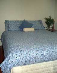 Bawley Point Bungalows - Accommodation QLD 3