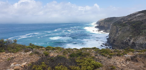 Amoria Beach House - Accommodation QLD 2