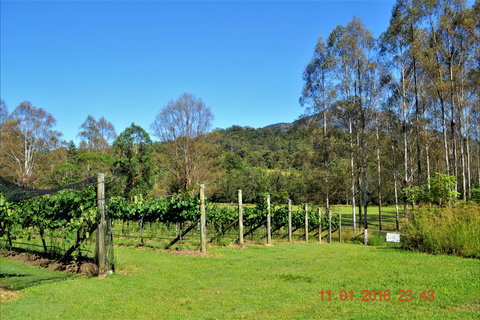 Barney Creek Vineyard Cottages - Accommodation QLD 1