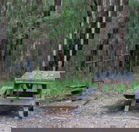 Boundary Falls campground and picnic area - Accommodation QLD