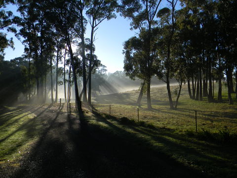 Cygnet Park Country Retreat - Accommodation QLD 2