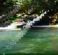 Daintree Secrets Rainforest Sanctuary - Accommodation QLD