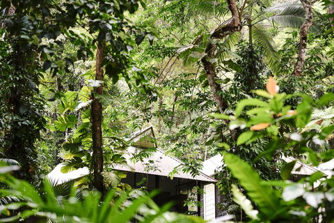 Daintree Ecolodge - Accommodation QLD 0