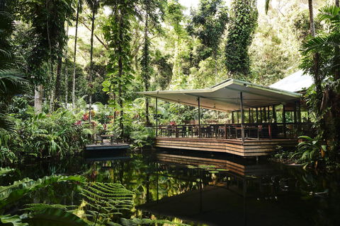 Daintree Ecolodge - Accommodation QLD 1