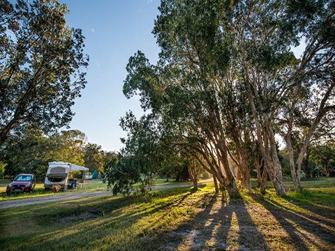 Delicate Campground - Accommodation QLD 0