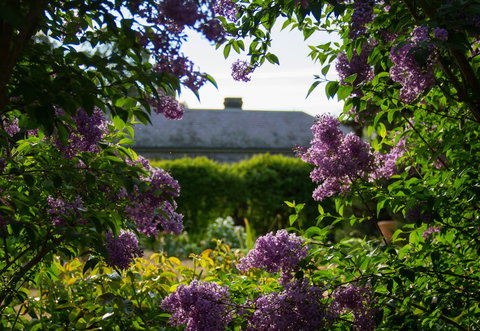Eurambeen Historic Homestead And Gardens - Accommodation QLD 1