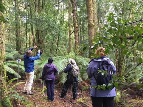 Forest Walks Lodge - Eco-Accommodation - Accommodation QLD 1