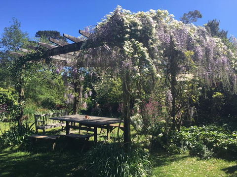 Hawthorne Cottage: Blackheath - Accommodation QLD 2