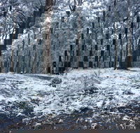 High Peaks Cottages - Accommodation QLD