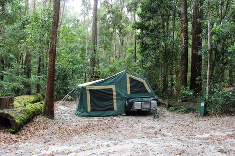 K'gari (Fraser Island) Camping, Great Sandy National Park - Accommodation QLD 2
