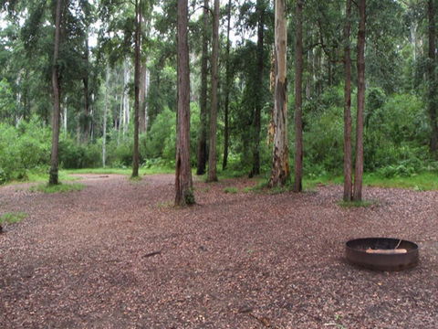 Murphys Glen Campground - Accommodation QLD 0