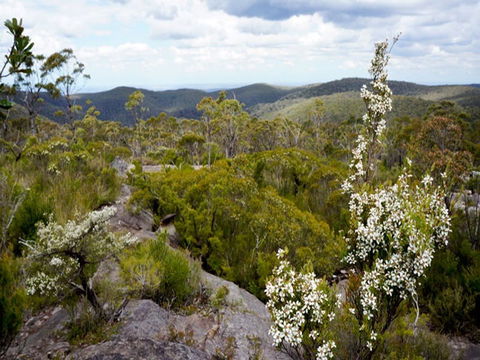 Murphys Glen Campground - Accommodation QLD 1
