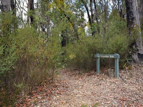 Murphys Glen Campground - Accommodation QLD 2