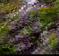 Nimbin Waterfall Retreat - Accommodation QLD