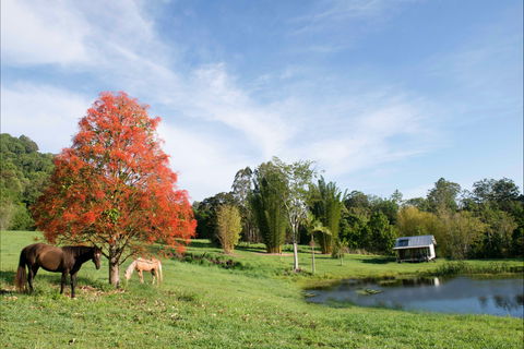 Nimbin Waterfall Retreat - Accommodation QLD 1
