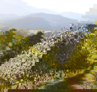 Rosetta's Garden Guesthouse - Accommodation QLD