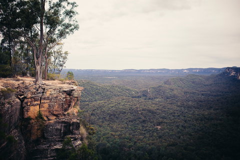 Sandstone Park Carnarvon Gorge - Accommodation QLD 1