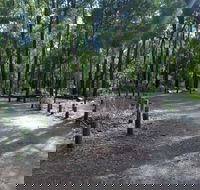 Stringers Camp at Lane Poole Reserve - Accommodation QLD