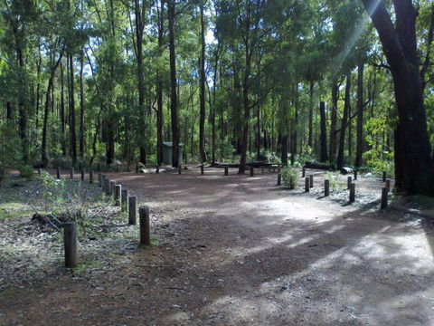 Stringers Camp At Lane Poole Reserve - Accommodation QLD 0