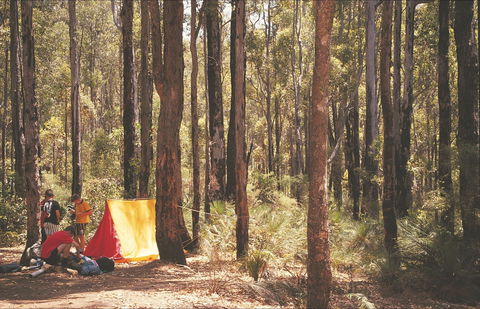 Stringers Camp At Lane Poole Reserve - Accommodation QLD 1