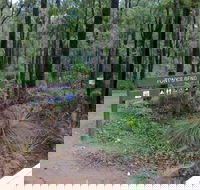 Tonys Bend Campground at Lane Poole Reserve - Accommodation QLD