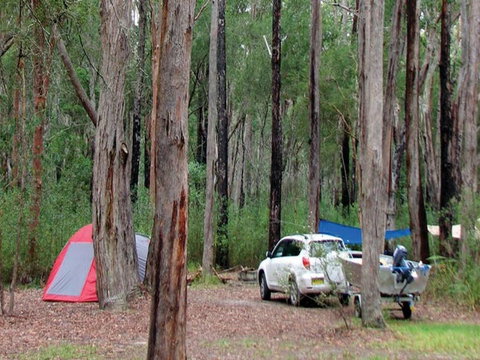 Wallingat River Campground - Accommodation QLD 0