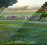 Wallinga Studio Farmstay - Accommodation QLD