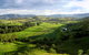 Water Gums Retreat - thumb 1