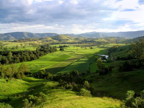 Water Gums Retreat - Accommodation QLD 1
