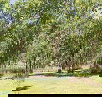 Youdales Hut campground and picnic area - Accommodation QLD