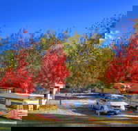Beechworth Lake Sambell Caravan Park - Accommodation QLD