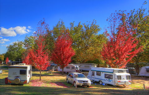 Beechworth Lake Sambell Caravan Park - Accommodation QLD 0