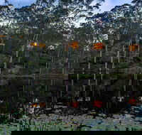 Billabong Retreat - Accommodation QLD