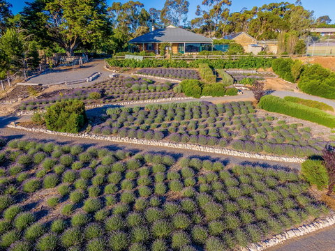 Brayfield Cottage - Accommodation QLD 1