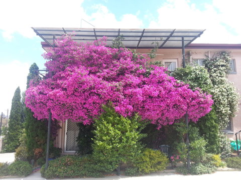 Crest Motor Inn - Accommodation QLD 0