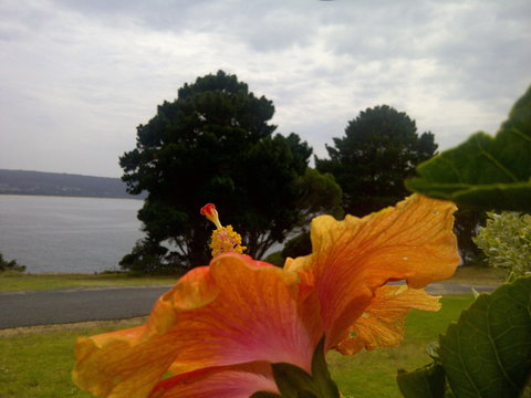 Eden Oceanview - Accommodation QLD 1