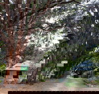 Fernleigh Accommodation - Accommodation QLD