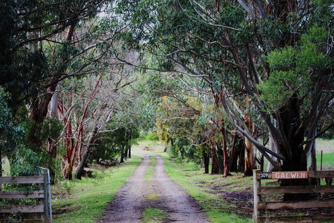 Galwiji Homestead - Accommodation QLD 1