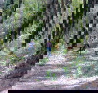 Honeymoon Pool - Gelcoat Camp at Wellington National Park - Accommodation QLD