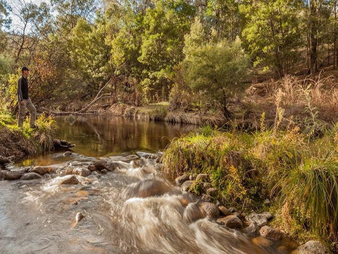 Jacobs River Campground - Accommodation QLD 2
