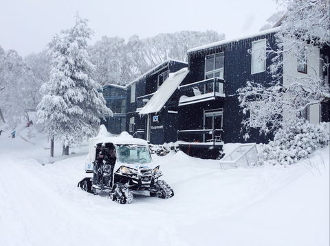 Kilimanjaro Alpine Apartments - Accommodation QLD 2