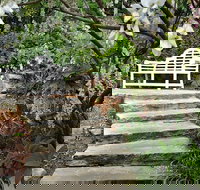 Loxley on Bellbird Hill - Accommodation QLD