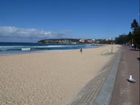 Manly Seaside Cottage - Accommodation QLD 0