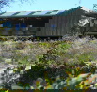 Melaleuca - Eco and Pet Friendly  Harbor Point Cabins - Accommodation QLD