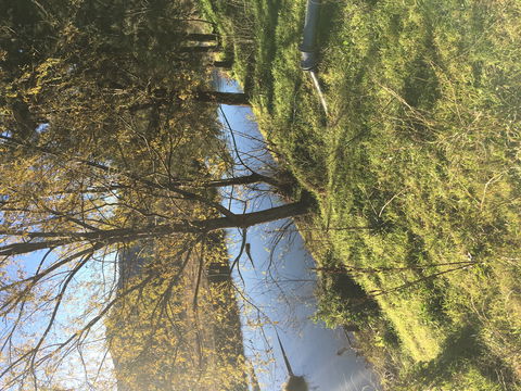 The Old Dairy At Baerami - Accommodation QLD 1