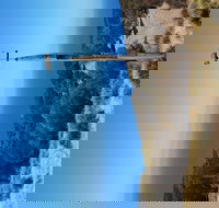 The Grass Tree Coastal Retreat Kangaroo Island - Accommodation QLD