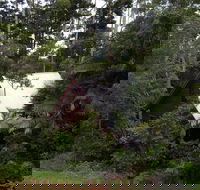 Turkeys Nest Rainforest Cottages Mt Glorious - Accommodation QLD